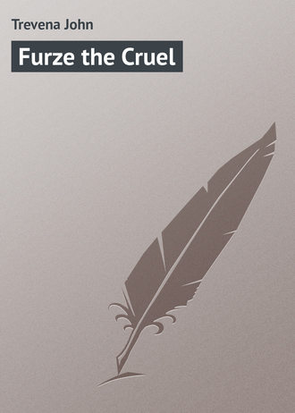 Обложка книги «Furze the Cruel»