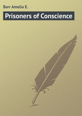 Обложка книги «Prisoners of Conscience»