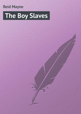 Обложка книги «The Boy Slaves»