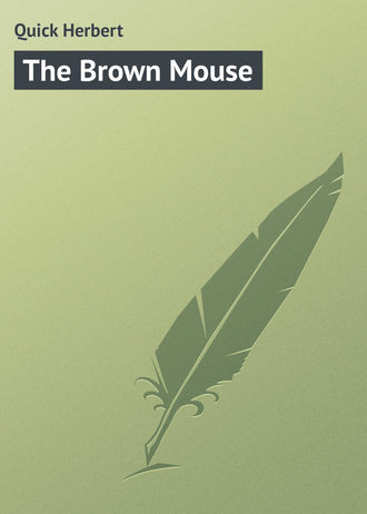 Обложка книги «The Brown Mouse»