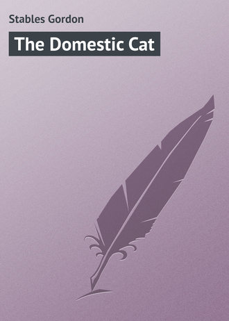 Обложка книги «The Domestic Cat»