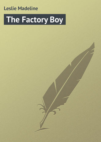 Обложка книги «The Factory Boy»