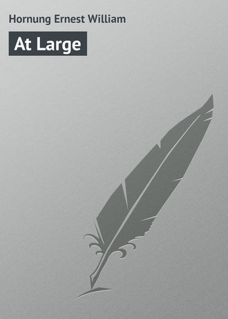 Обложка книги «At Large»