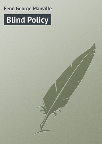 Обложка книги «Blind Policy»