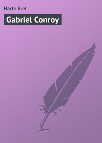 Обложка книги «Gabriel Conroy»