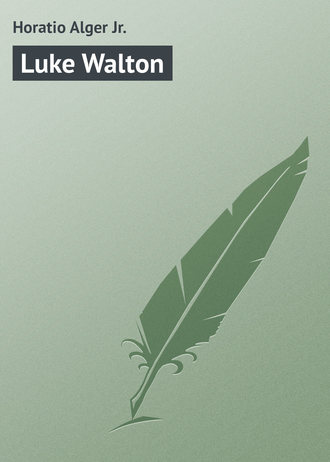Обложка книги «Luke Walton»