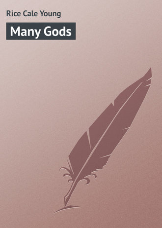 Обложка книги «Many Gods»