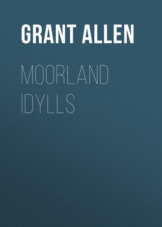Обложка книги «Moorland Idylls»