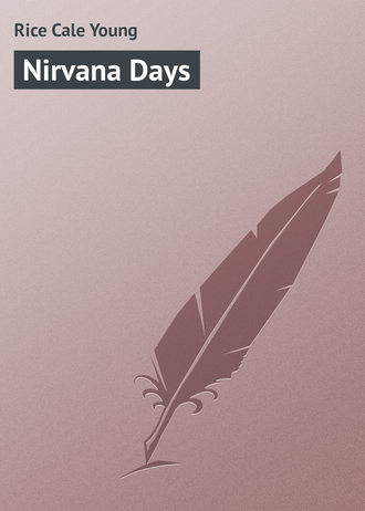 Обложка книги «Nirvana Days»