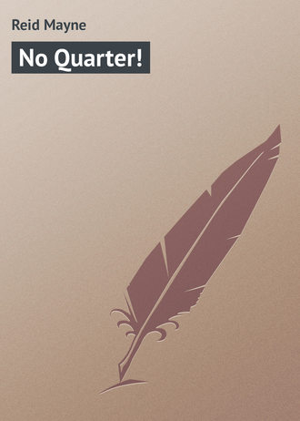 Обложка книги «No Quarter!»