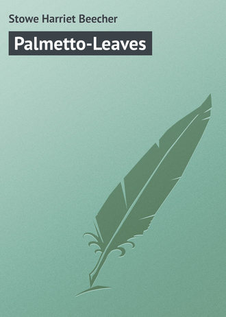 Обложка книги «Palmetto-Leaves»