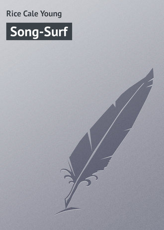 Обложка книги «Song-Surf»