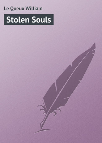 Обложка книги «Stolen Souls»
