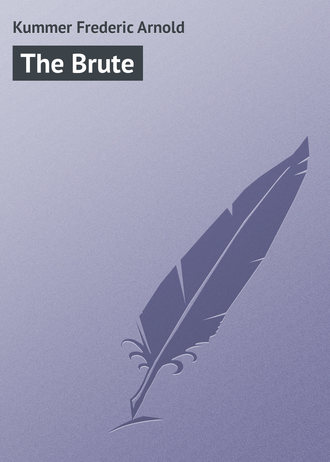 Обложка книги «The Brute»