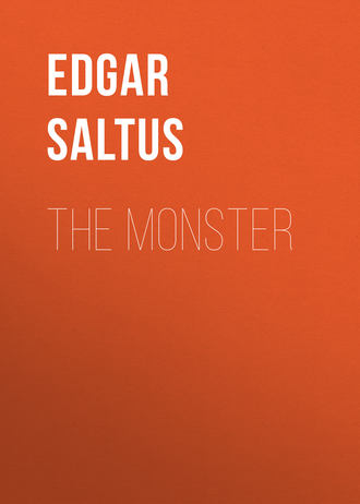 Обложка книги «The Monster»