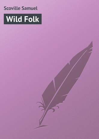 Обложка книги «Wild Folk»