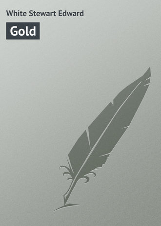 Обложка книги «Gold»