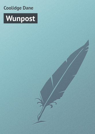 Обложка книги «Wunpost»