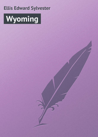 Обложка книги «Wyoming»