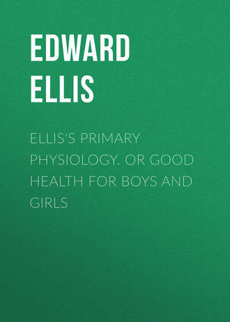 Обложка книги «Ellis's Primary Physiology. Or Good Health for Boys and Girls»