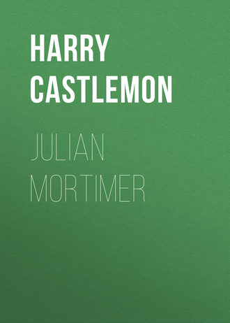 Обложка книги «Julian Mortimer»