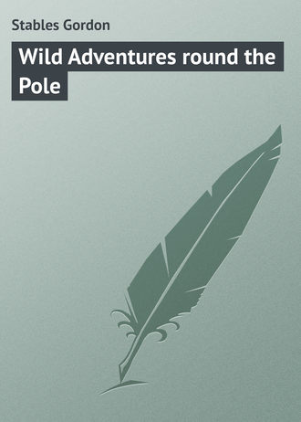 Обложка книги «Wild Adventures round the Pole»