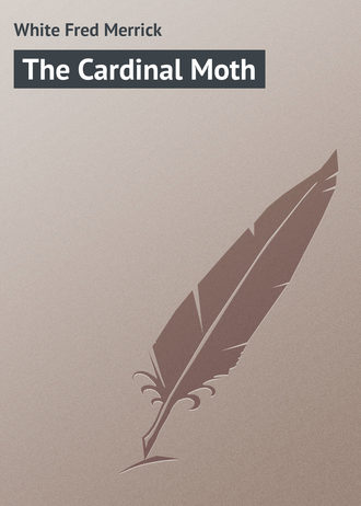 Обложка книги «The Cardinal Moth»