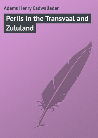 Обложка книги «Perils in the Transvaal and Zululand»