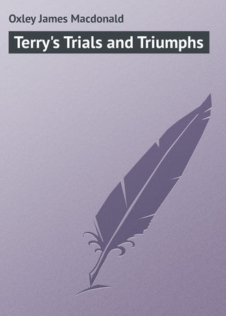 Обложка книги «Terry's Trials and Triumphs»