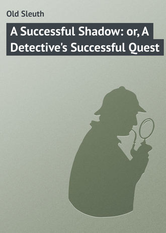 Обложка книги «A Successful Shadow: or, A Detective's Successful Quest»