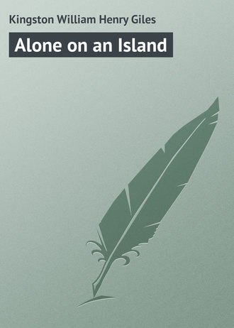Обложка книги «Alone on an Island»