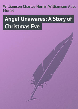 Обложка книги «Angel Unawares: A Story of Christmas Eve»