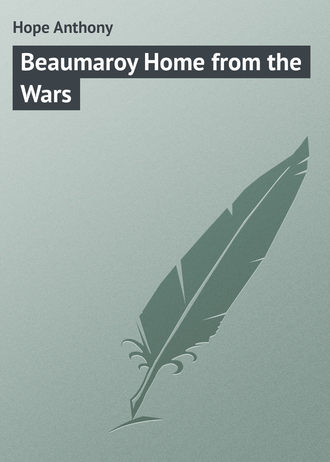 Обложка книги «Beaumaroy Home from the Wars»