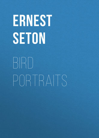 Обложка книги «Bird Portraits»