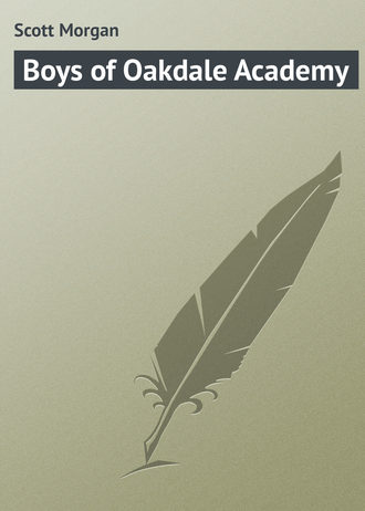 Обложка книги «Boys of Oakdale Academy»