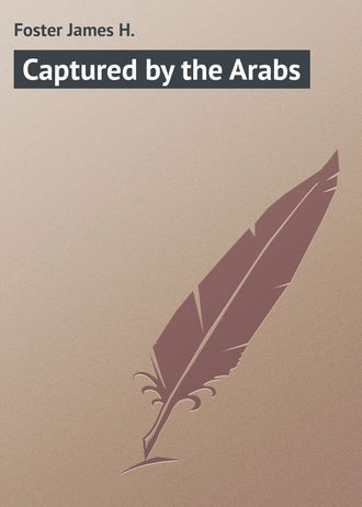 Обложка книги «Captured by the Arabs»