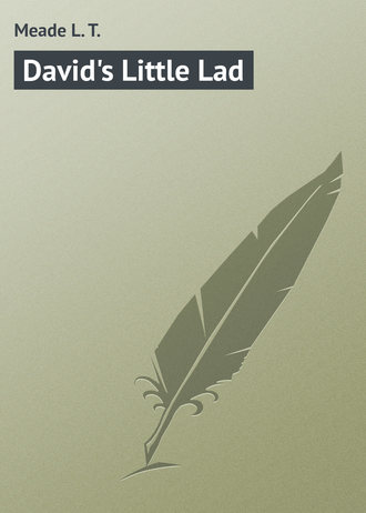 Обложка книги «David's Little Lad»