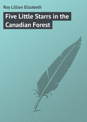 Обложка книги «Five Little Starrs in the Canadian Forest»