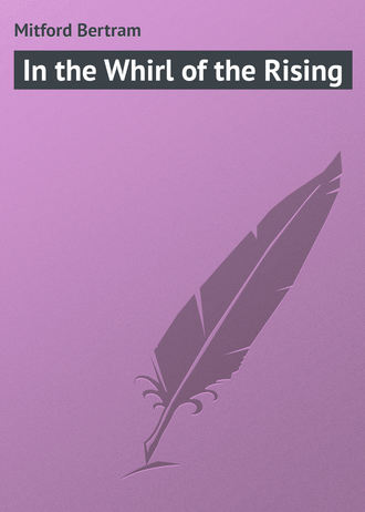 Обложка книги «In the Whirl of the Rising»