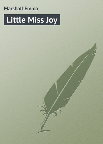 Обложка книги «Little Miss Joy»