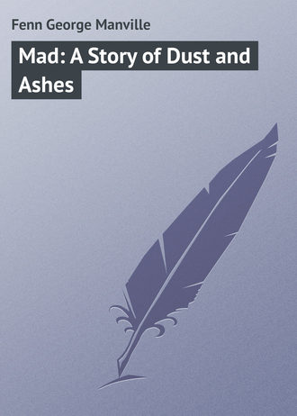 Обложка книги «Mad: A Story of Dust and Ashes»