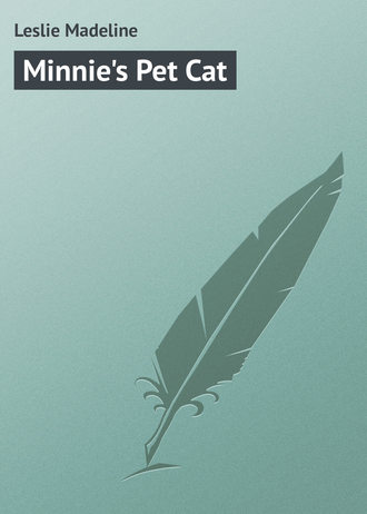 Обложка книги «Minnie's Pet Cat»