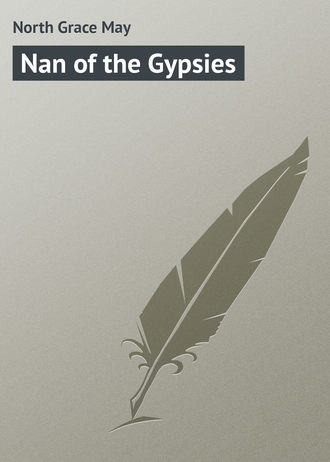 Обложка книги «Nan of the Gypsies»