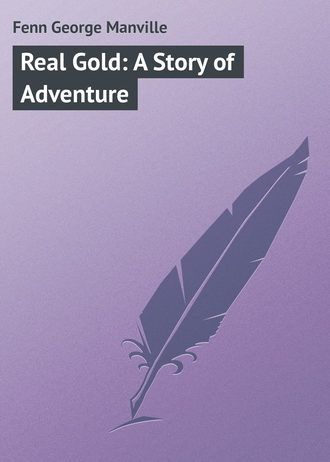 Обложка книги «Real Gold: A Story of Adventure»