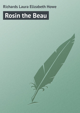 Обложка книги «Rosin the Beau»