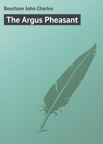 Обложка книги «The Argus Pheasant»