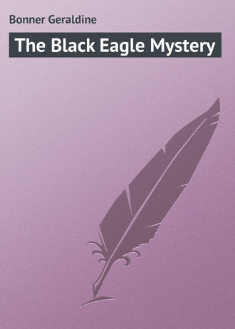 Обложка книги «The Black Eagle Mystery»