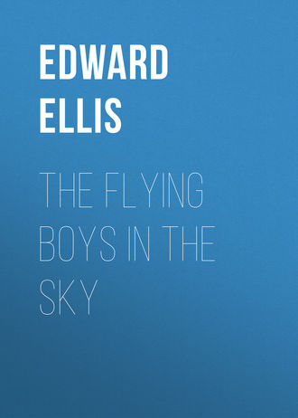 Обложка книги «The Flying Boys in the Sky»