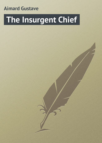 Обложка книги «The Insurgent Chief»