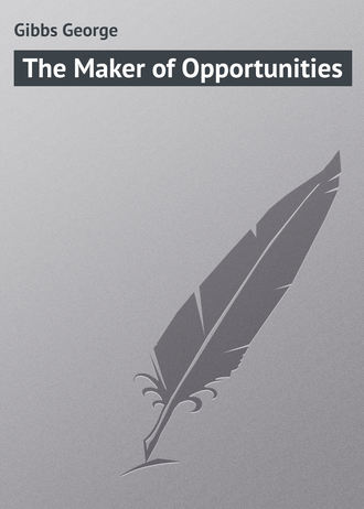 Обложка книги «The Maker of Opportunities»